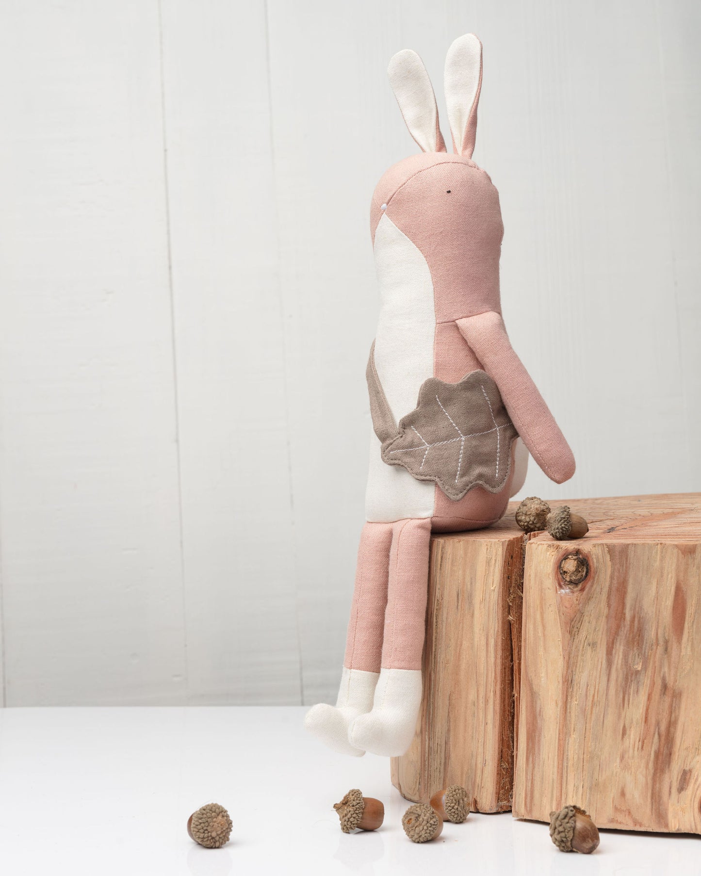 Ruby the Rabbit