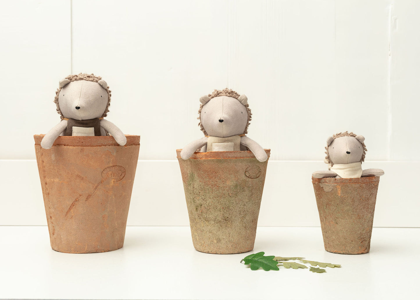 Poppet The Baby Hedgehog (Pre-order)